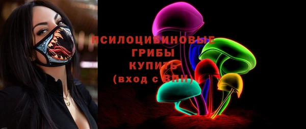 хмурый Вяземский