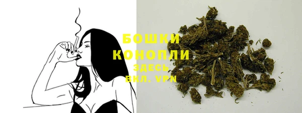 хмурый Вяземский