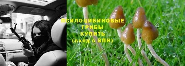 эйфоретик Пролетарск
